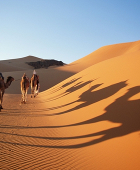 Hungarian "Green Sahara" tree-planting initiative in Africa