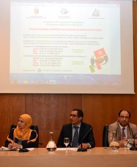 A tunéziai digitális kereskedelem jelenlegi helyzetét meghatározó stratégiai tanulmány készül 2017-ben
